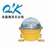 供应固态免维护防爆灯 BFC8183